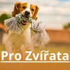 Pro Zvířata